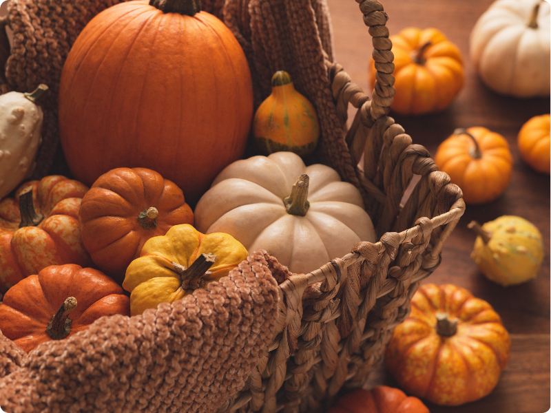 Verschiedene orangefarbene, gelbe und weiße Kürbisse liegen in und neben einem geflochtenen Korb und schaffen eine warme herbstliche Atmosphäre.
